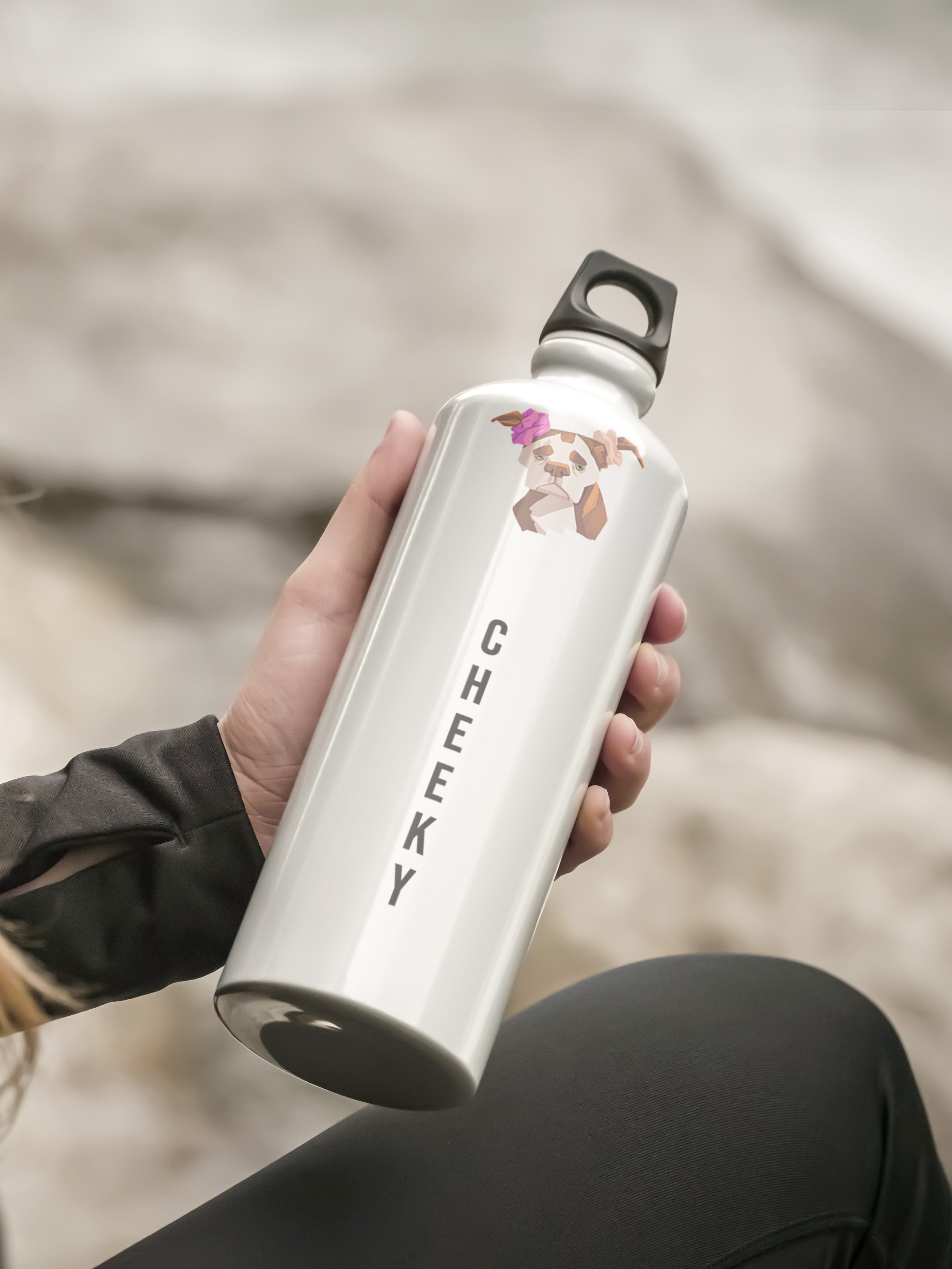 Cheeky Graphic Metal Bottle