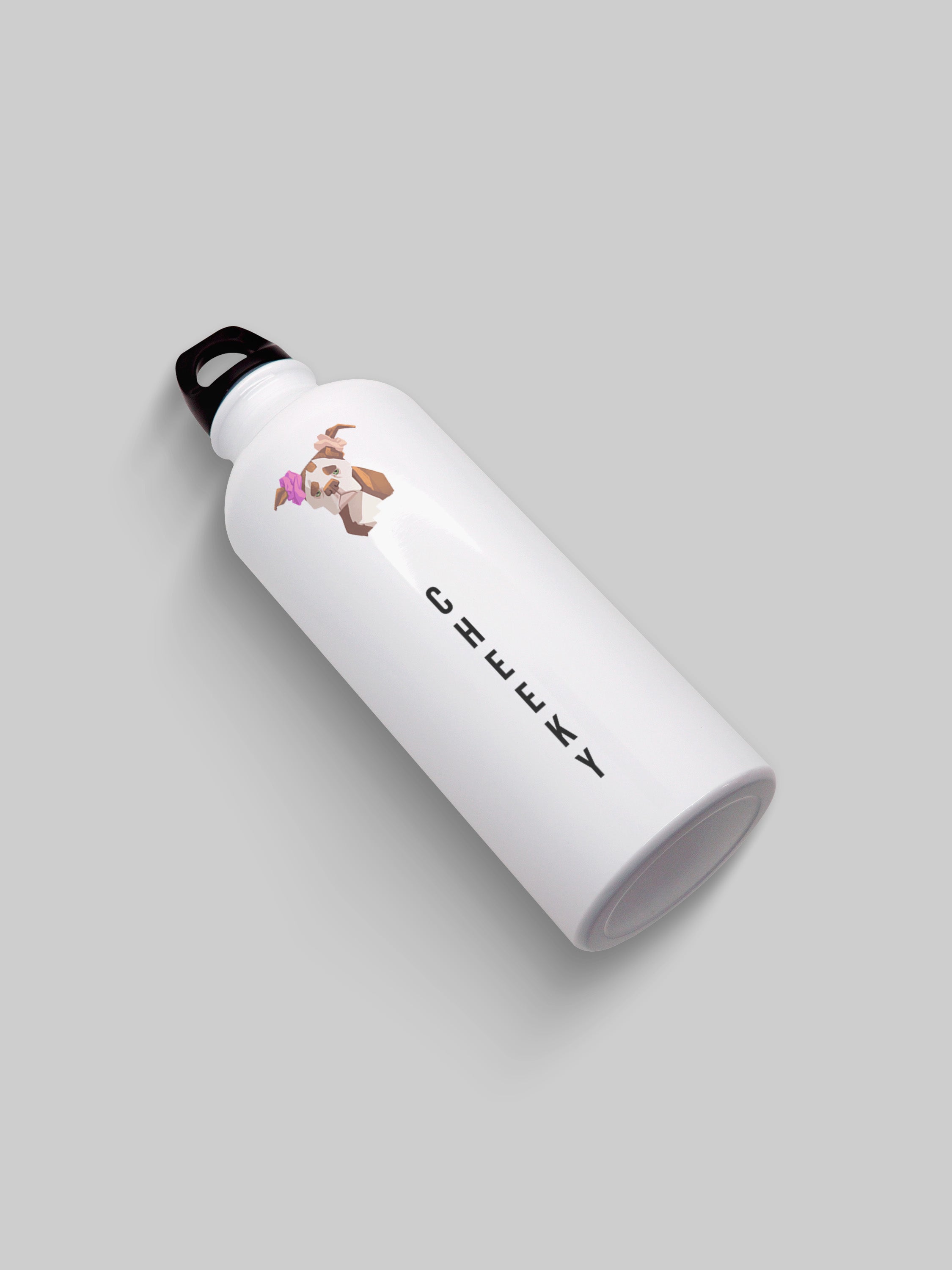 Cheeky Graphic Metal Bottle