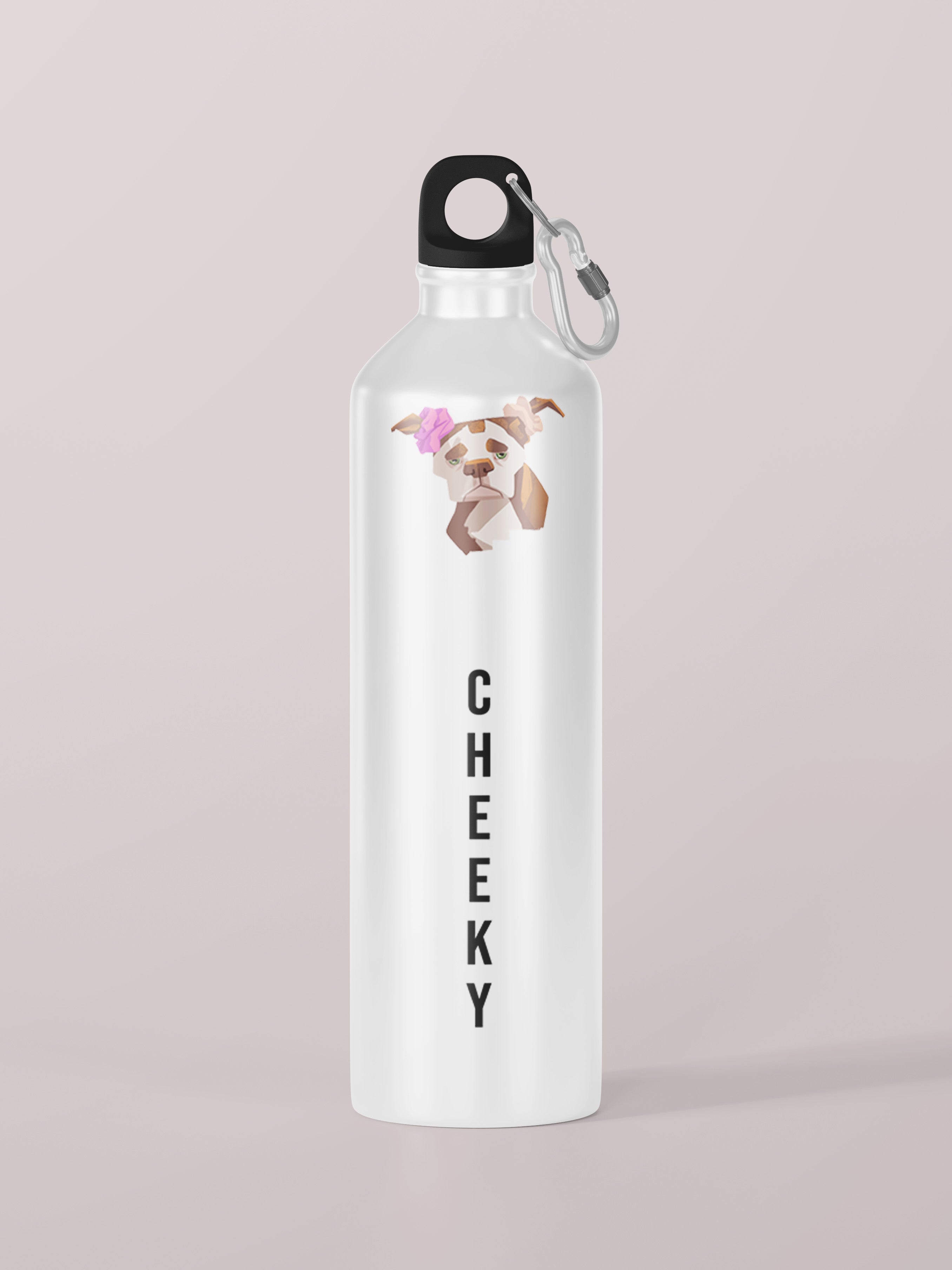 Cheeky Graphic Metal Bottle